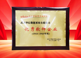 喜讯丨UG环球国际数据获评2024~2025年度武汉市软件行业&ldquo;优秀企业&rdquo;、&ldquo;优秀工作者&rdquo;荣誉称号！